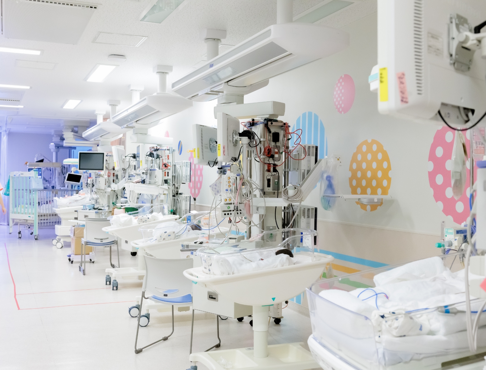 専門医養成の中核