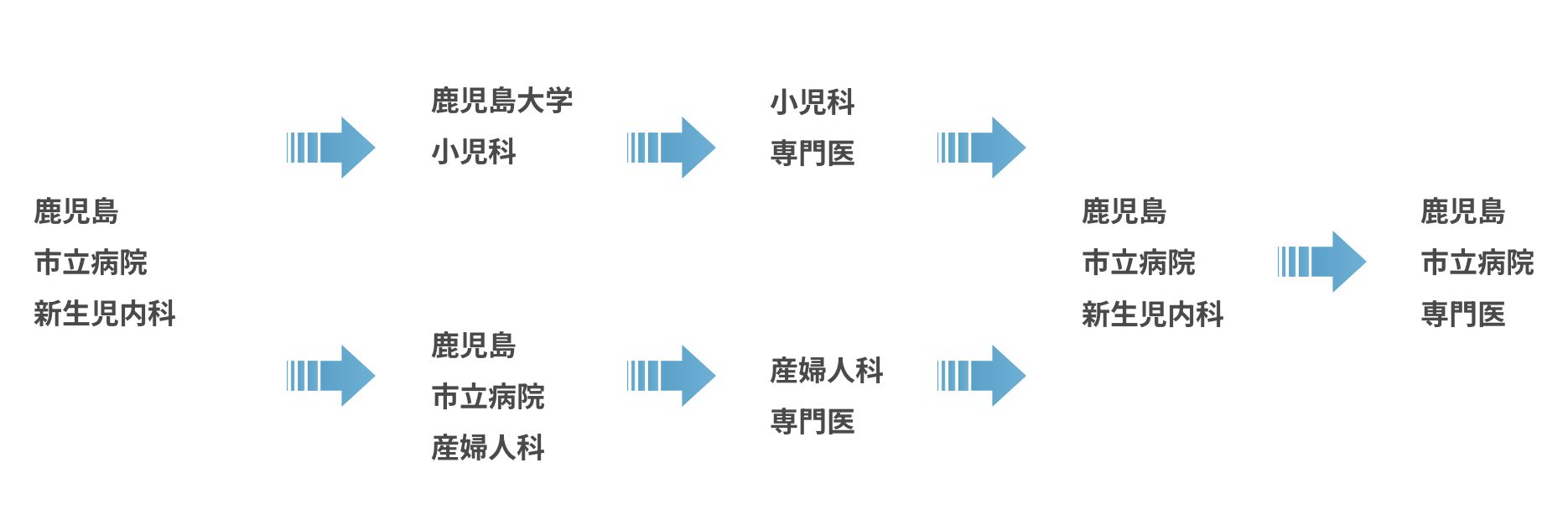 研修プログラムの流れ